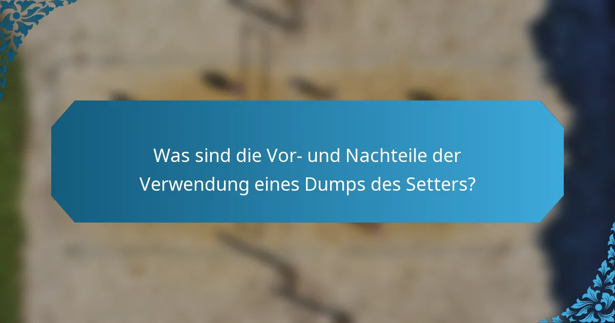 Was sind die Vor- und Nachteile der Verwendung eines Dumps des Setters?